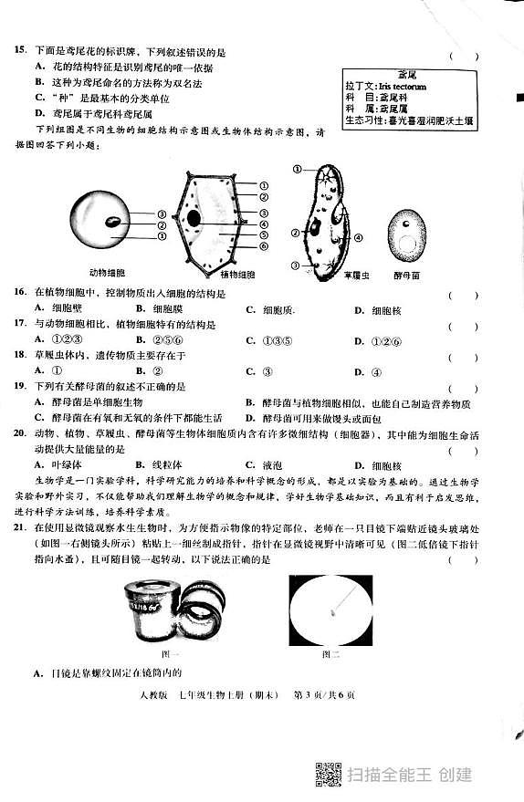广东省汕头市潮阳区德兴育才学校2024-2025学年七年级上学期期末生物试题第3页