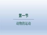 2024八年级生物上册第五单元生物圈中的其他生物第二章动物的运动和行为第一节动物的运动课件（人教版）