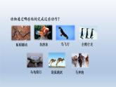 2024八年级生物上册第五单元生物圈中的其他生物第二章动物的运动和行为第一节动物的运动课件（人教版）