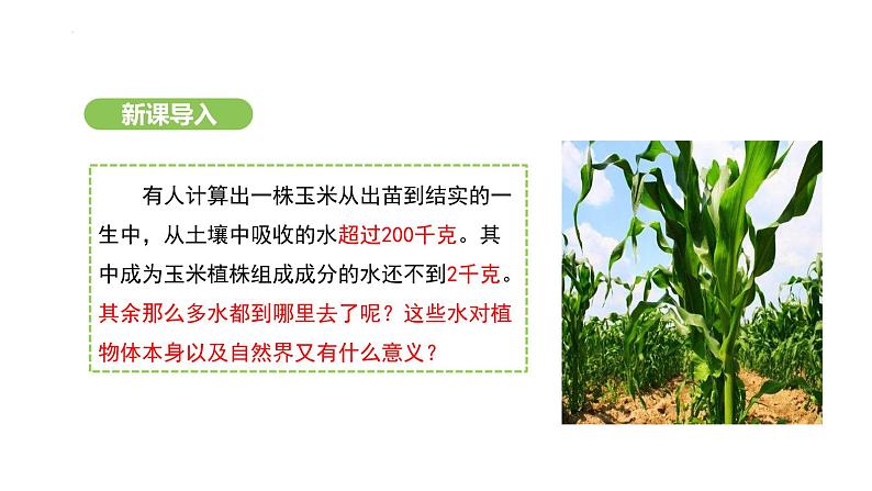 3.2.1 水的利用与散失 课件-2024-2025学年人教版(2024)生物七年级下册第2页