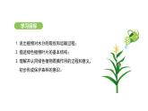 3.2.1 水的利用与散失 课件-2024-2025学年人教版(2024)生物七年级下册