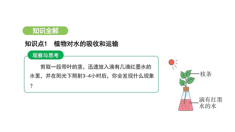 3.2.1 水的利用与散失 课件-2024-2025学年人教版(2024)生物七年级下册第5页