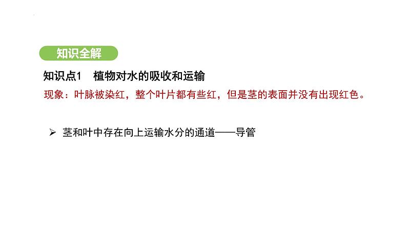 3.2.1 水的利用与散失 课件-2024-2025学年人教版(2024)生物七年级下册第6页