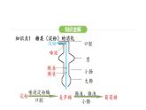 4.2.2 消化和吸收 第2课时 课件-2024-2025学年人教版(2024)生物七年级下册