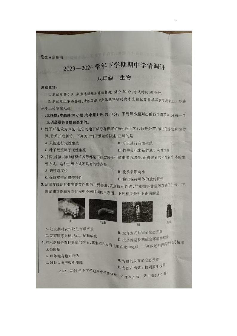 河南省郑州市航空港区2023-2024学年八年级下学期期中学情调研生物试卷及答案 河南省郑州市航空港区2023-2024学年八年级下学期期中学情调研生物试卷第1页