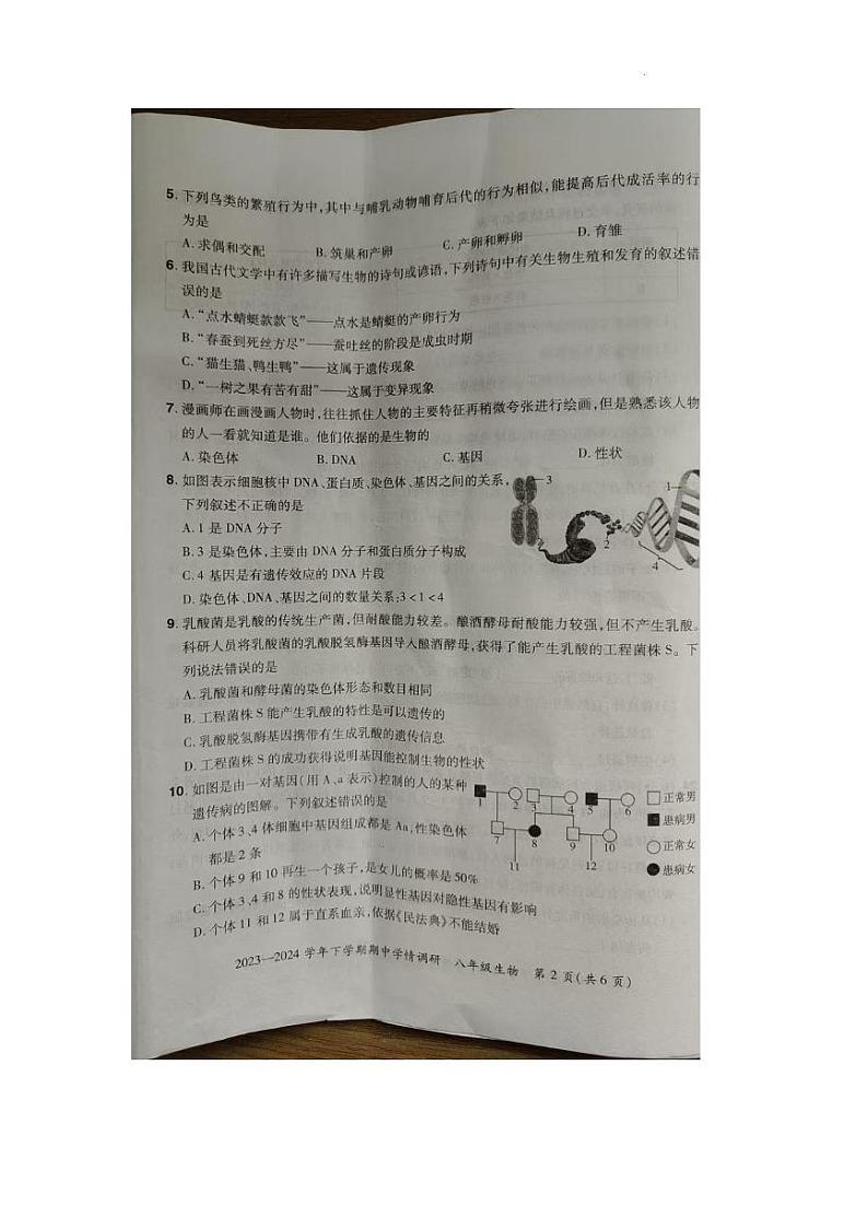 河南省郑州市航空港区2023-2024学年八年级下学期期中学情调研生物试卷及答案 河南省郑州市航空港区2023-2024学年八年级下学期期中学情调研生物试卷第2页
