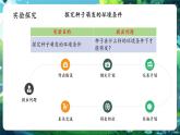 【新教材核心素养】人教版生物七年级下册3.1.1种子的萌发（课件+同步教案+导学案+分层作业）