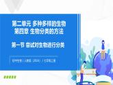 2.4.1 尝试对生物进行分类-初中生物七年级上册 同步教学课件+教学设计（人教版2024）