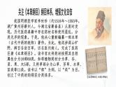 2.4.1 尝试对生物进行分类-初中生物七年级上册 同步教学课件+教学设计（人教版2024）