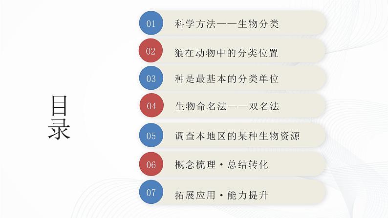 2.4.2 从种到界-初中生物七年级上册 同步教学课件（人教版2024）第2页