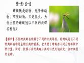 2.4.2 从种到界-初中生物七年级上册 同步教学课件+教学设计（人教版2024）