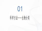 2.4.2 从种到界-初中生物七年级上册 同步教学课件+教学设计（人教版2024）