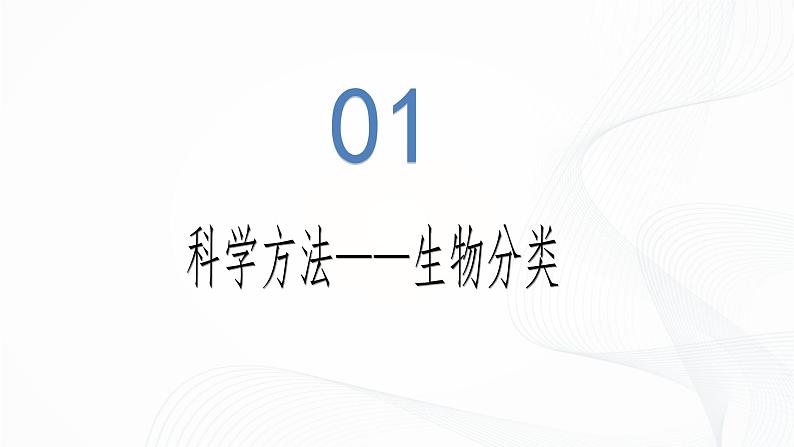 2.4.2 从种到界-初中生物七年级上册 同步教学课件（人教版2024）第5页