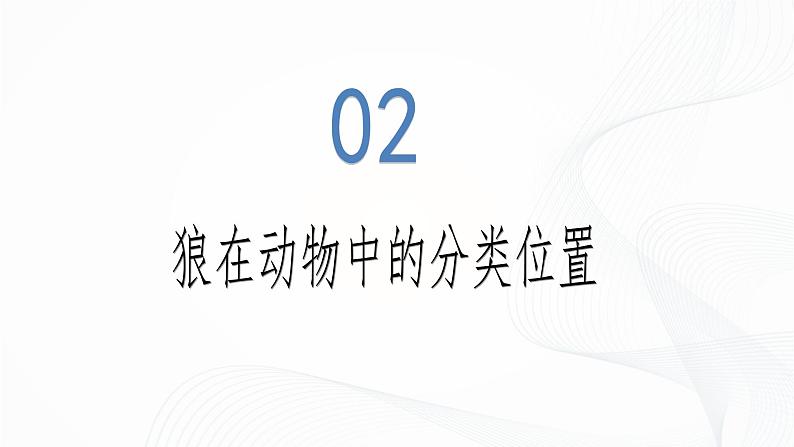 2.4.2 从种到界-初中生物七年级上册 同步教学课件（人教版2024）第7页