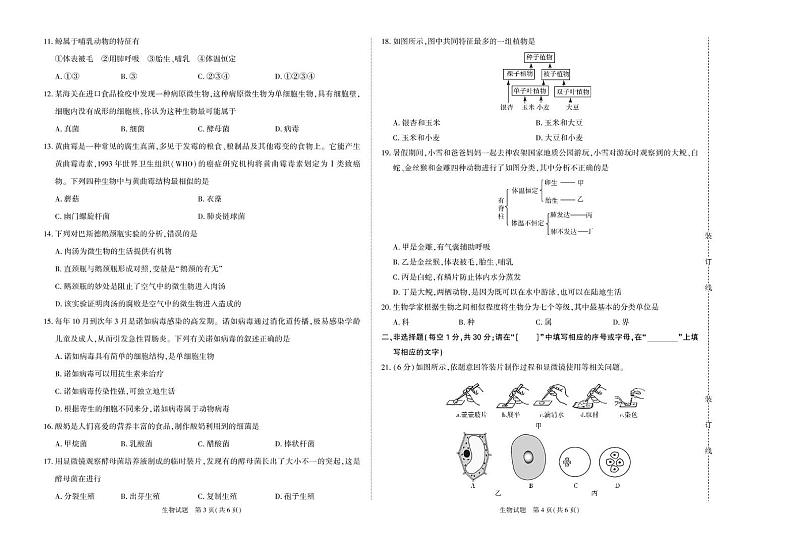 七年级生物 七年生物第2页