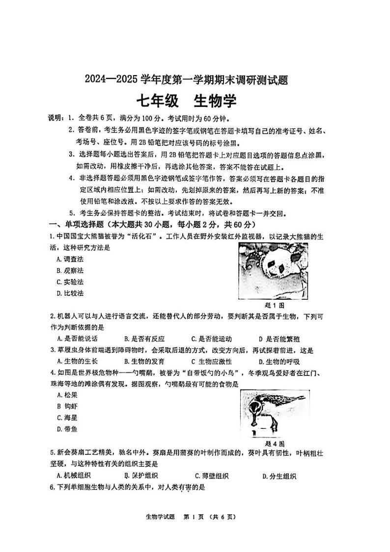 广东省江门市蓬江区2024-2025学年七年级上学期期末调研生物试卷第1页