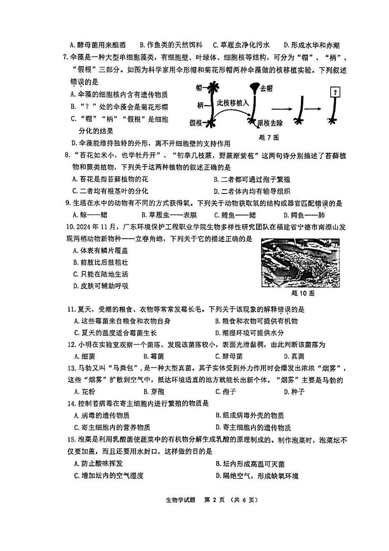 广东省江门市蓬江区2024-2025学年七年级上学期期末调研生物试卷第2页