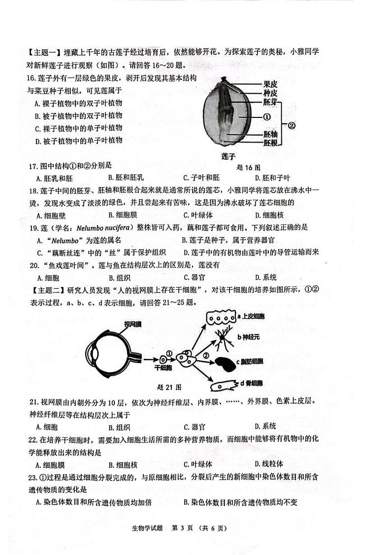 广东省江门市蓬江区2024-2025学年七年级上学期期末调研生物试卷第3页