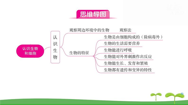 人教版（2024新版）七年级上册生物第一单元 第一、二章复习提升复习课件第2页