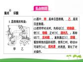 人教版（2024新版）七年级上册生物第一单元 第一、二章复习提升复习课件