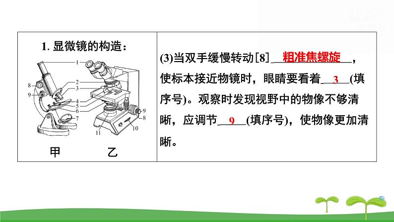 人教版（2024新版）七年级上册生物第一单元 第一、二章复习提升复习课件第6页