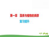 人教版（2024新版）七年级上册生物第二单元第一、二章 单元提升复习课件