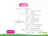 人教版（2024新版）七年级上册生物第二单元第一、二章 单元提升复习课件