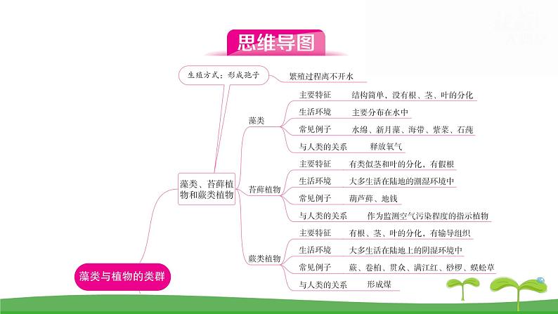 人教版（2024新版）七年级上册生物第二单元第一、二章 单元提升复习课件第3页