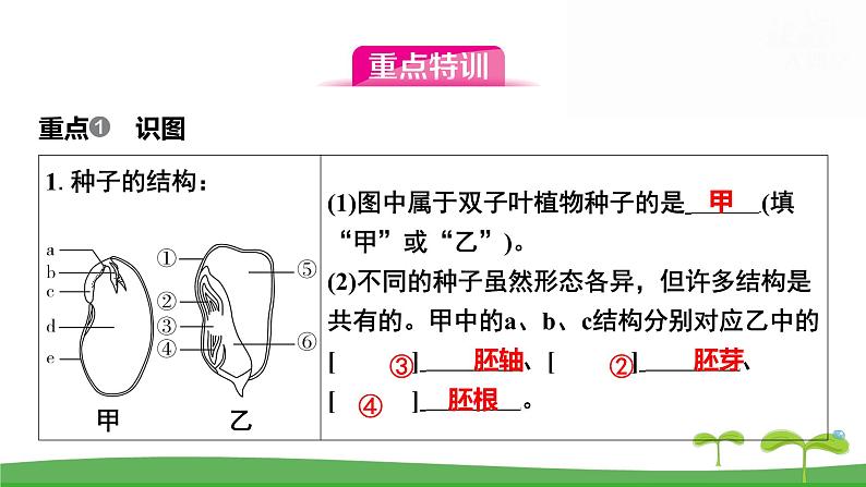 人教版（2024新版）七年级上册生物第二单元第一、二章 单元提升复习课件第5页