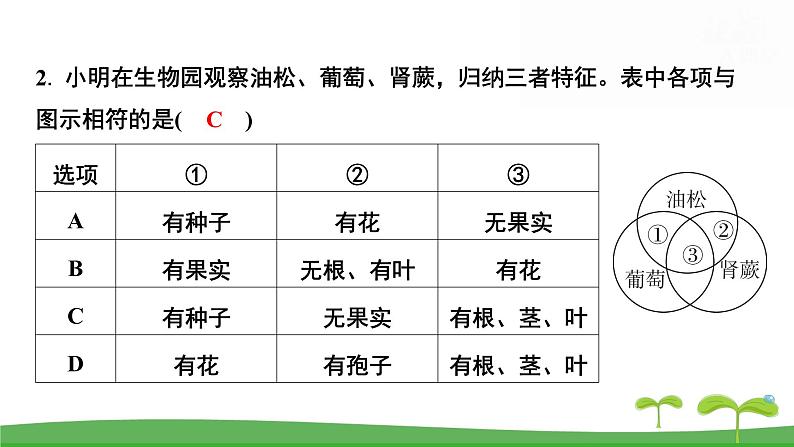 人教版（2024新版）七年级上册生物第二单元第一、二章 单元提升复习课件第8页