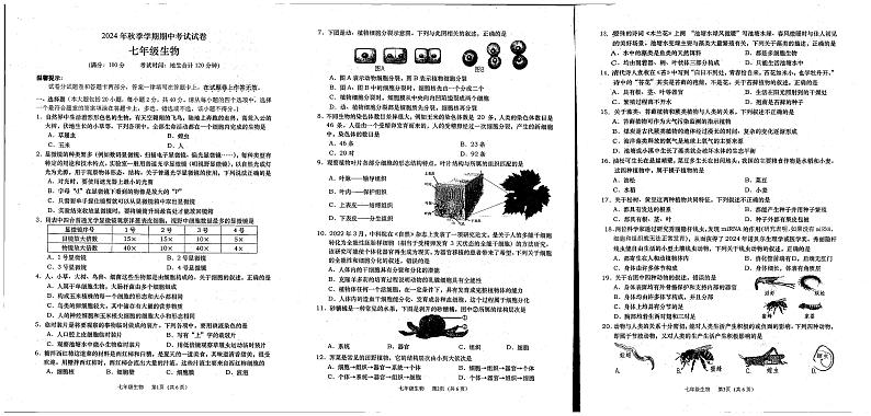 广西壮族自治区钦州市灵山县青云中学2024-2025学年七年级上学期期中考试生物试题第1页