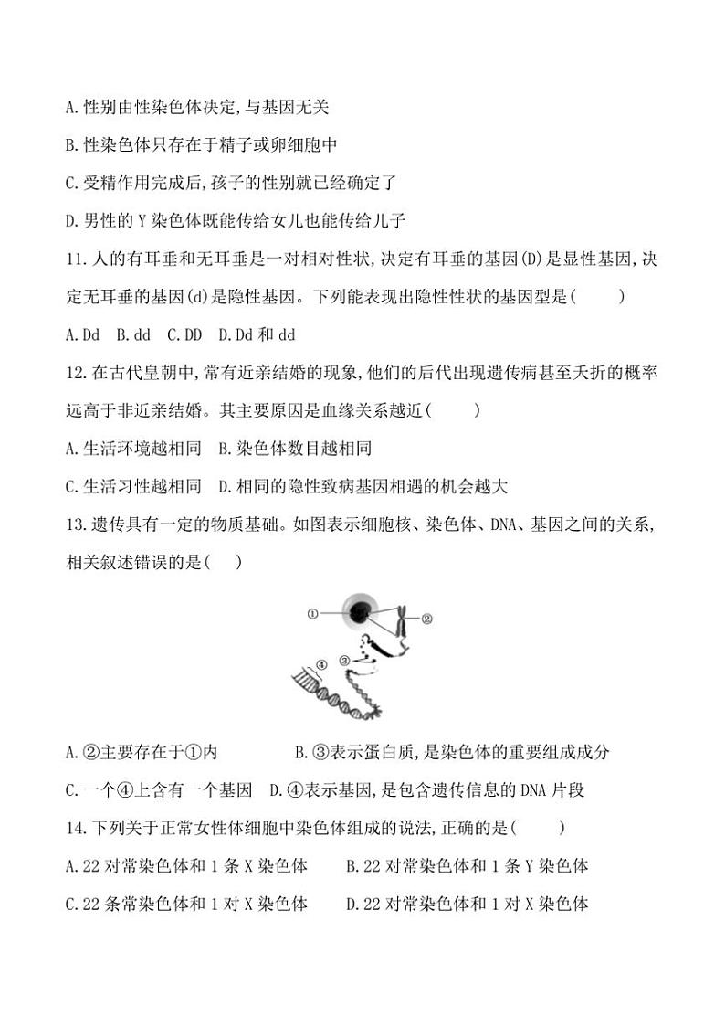 2024～2025学年贵州省贵阳市南明区永乐第一中学八年级上12月考生物试卷(含答案)第3页