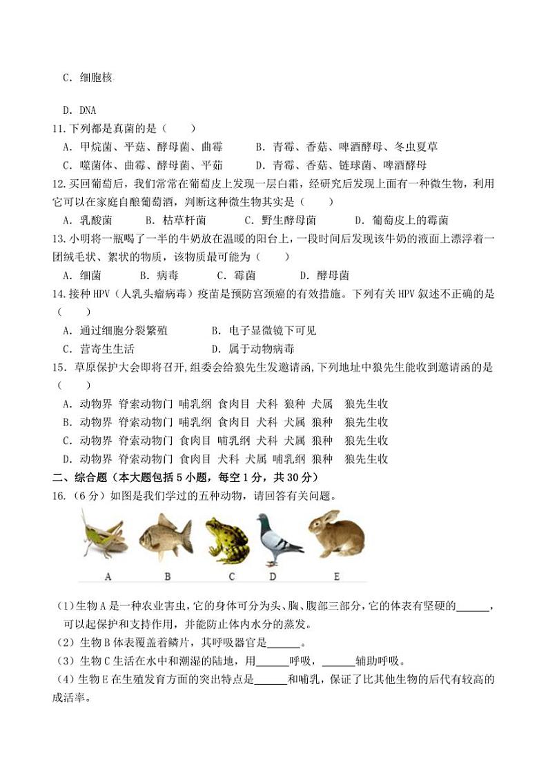 2024～2025学年广西防城港市思县七年级上学习成果监测(二)月考生物试卷(含答案)第2页