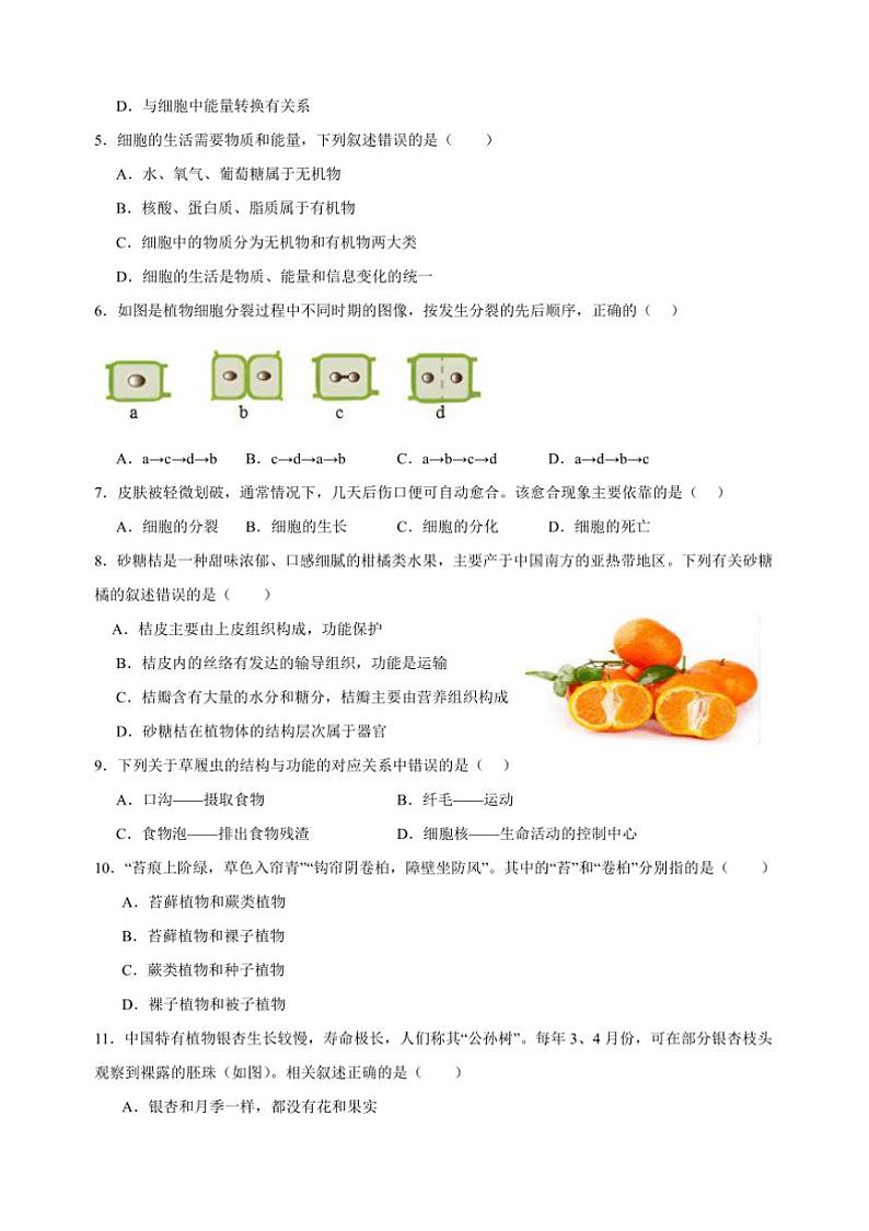 2024～2025学年河南省南阳市名校七年级上12月期末联考(月考)生物试卷第2页