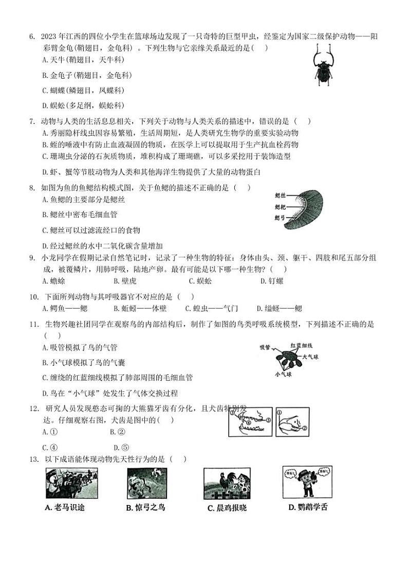 2024～2025学年广东省深圳市龙岗区宏扬学校八年级上12月期末生物试卷(含答案)第2页