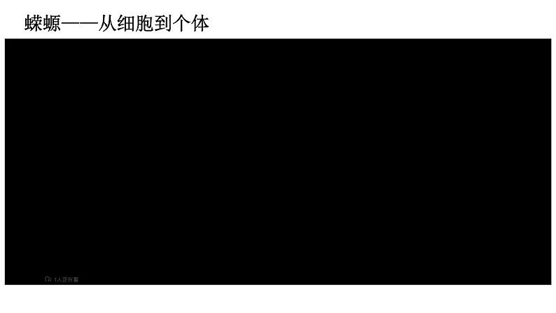 初中  生物  人教版（2024）  七年级上册（2024） 第一节 细胞通过分裂产生新细胞 课件第2页