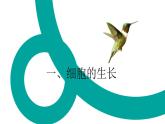 初中  生物  人教版（2024）  七年级上册（2024） 第一节 细胞通过分裂产生新细胞 课件