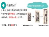 初中  生物  人教版（2024）  七年级上册（2024） 第一节 细胞通过分裂产生新细胞 课件