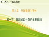 初中  生物  人教版（2024）  七年级上册（2024） 第一节 细胞通过分裂产生新细胞 课件