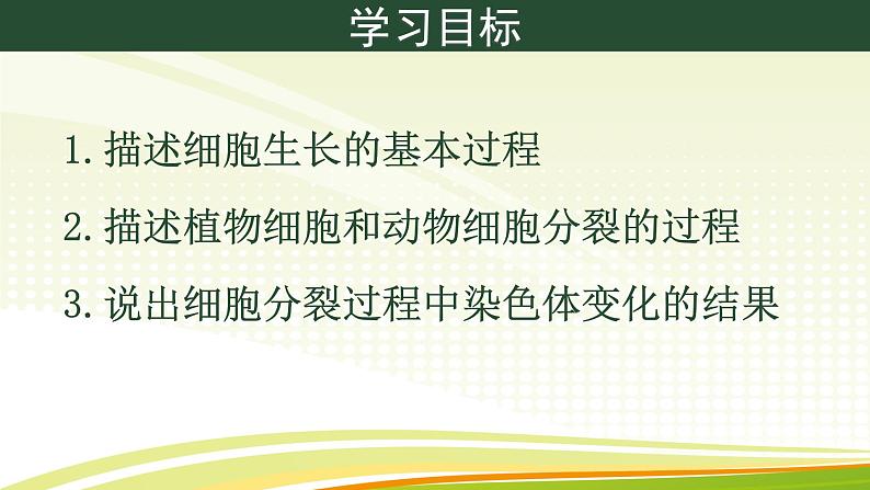 初中  生物  人教版（2024）  七年级上册（2024） 第一节 细胞通过分裂产生新细胞 课件第4页