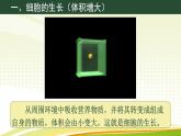 初中  生物  人教版（2024）  七年级上册（2024） 第一节 细胞通过分裂产生新细胞 课件