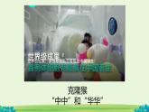 初中  生物  人教版（2024）  七年级上册（2024） 第一节 细胞通过分裂产生新细胞 课件