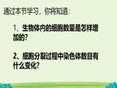 初中  生物  人教版（2024）  七年级上册（2024） 第一节 细胞通过分裂产生新细胞 课件