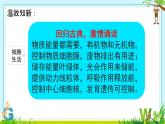 初中  生物  人教版（2024）  七年级上册（2024） 第一节 细胞通过分裂产生新细胞 课件