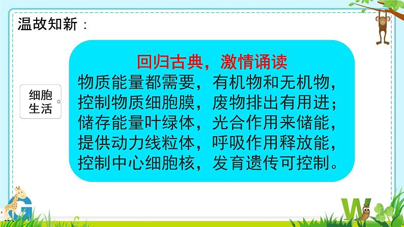 初中  生物  人教版（2024）  七年级上册（2024） 第一节 细胞通过分裂产生新细胞 课件第1页