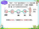 初中  生物  人教版（2024）  七年级上册（2024） 第一节 细胞通过分裂产生新细胞 课件