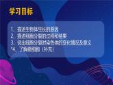 初中  生物  人教版（2024）  七年级上册（2024） 第一节 细胞通过分裂产生新细胞 课件