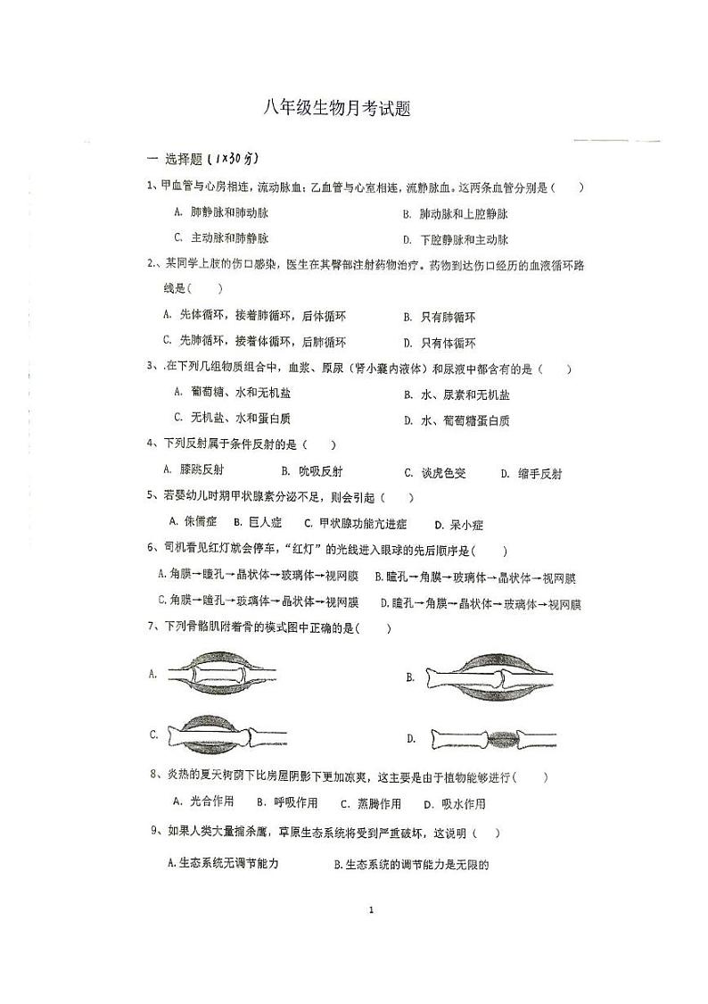 江苏省徐州市沛县五中联盟学区2024-2025学年八年级上学期12月月考生物试题第1页