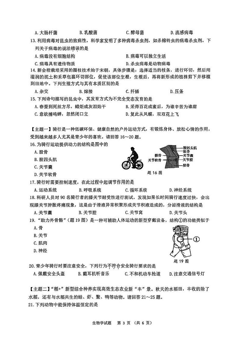 广东省江门市蓬江区2024-2025学年八年级上学期期末调研考试生物试题第3页