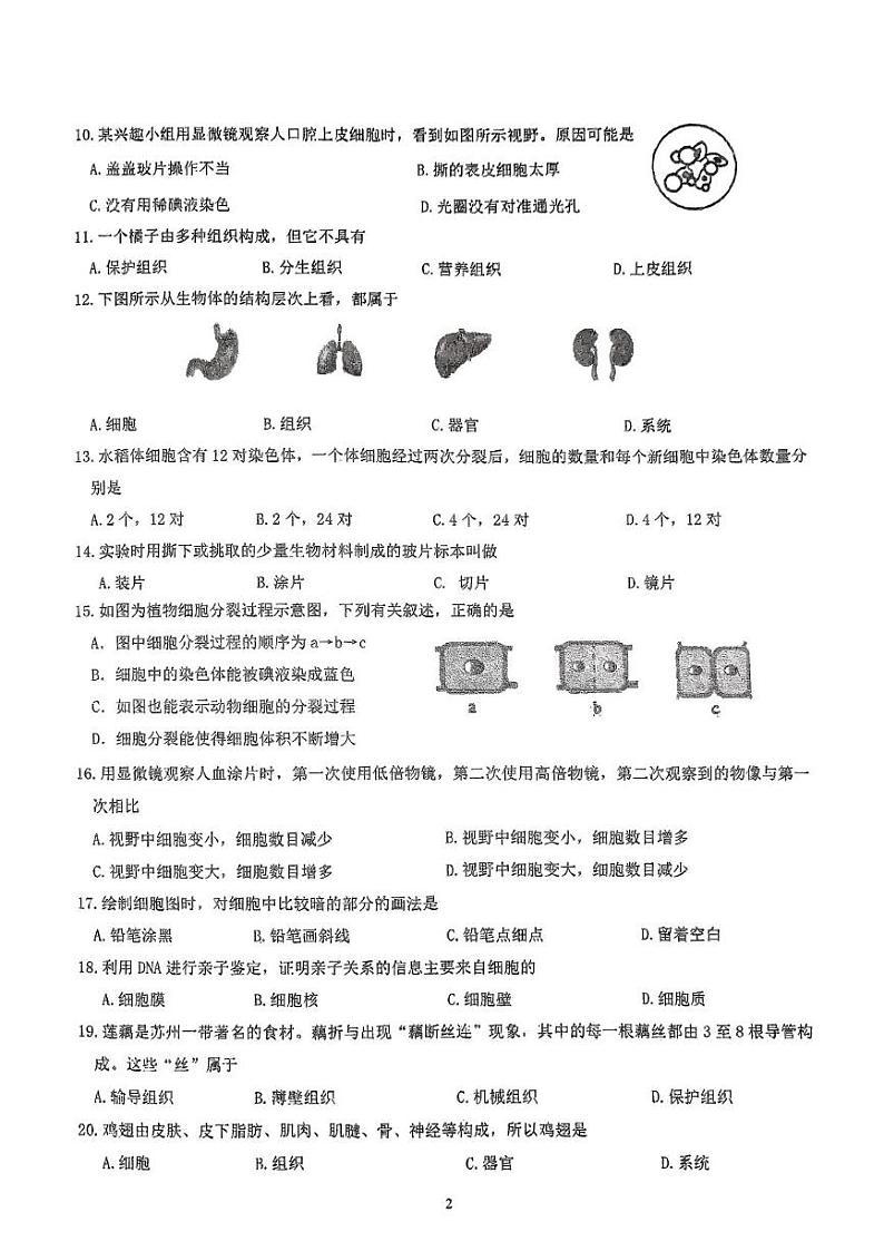 福建省永春第一中学2024-2025学年七年级上学期11月期中生物试题第2页